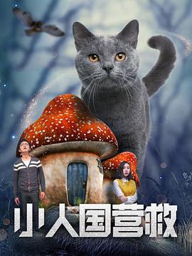 特片我不卡